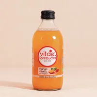 Kombutxa ECO Mango i Maduixa