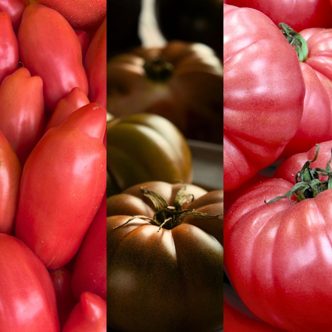 Pack PROMO Tomàquets Premium 4.5Kg