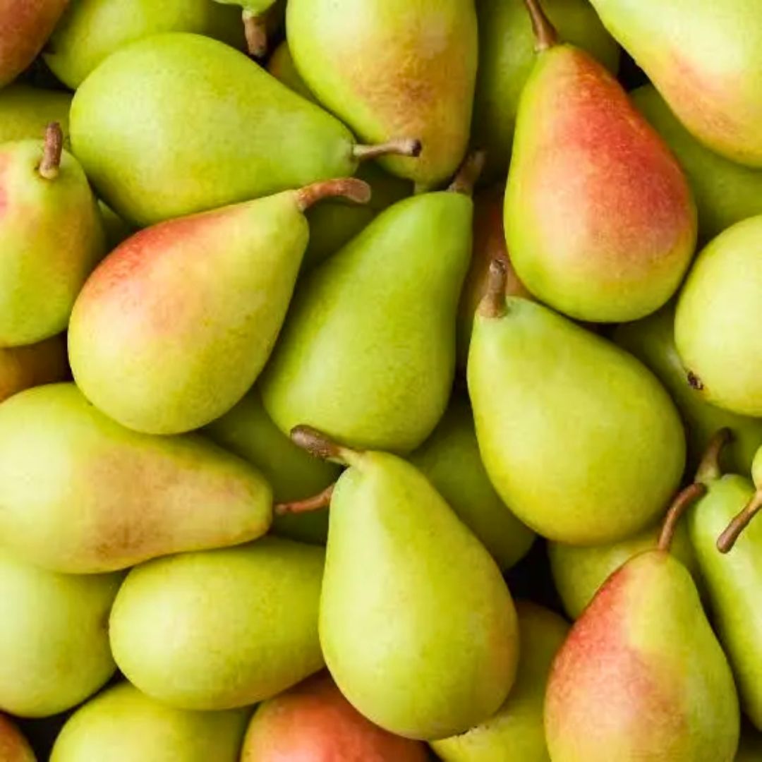 Pera Ercolini ECO 4kg