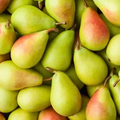 Pera Ercolini ECO 4kg