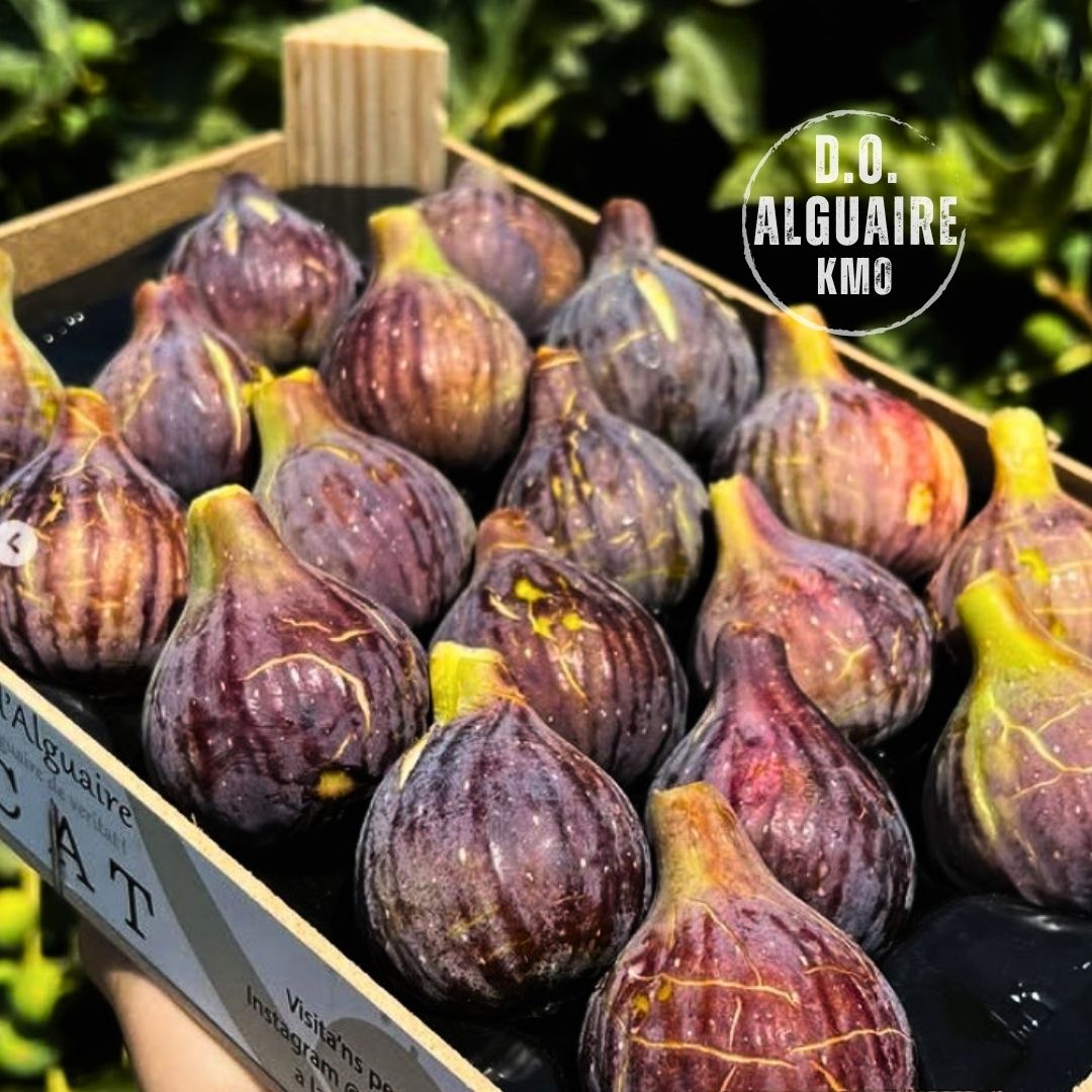 Figues Coll de Dama N. 1kg