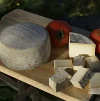 Formatge ovella ECO