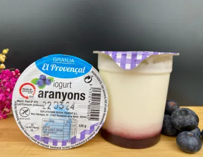 Pack: 2 Iogurts d’aranyons