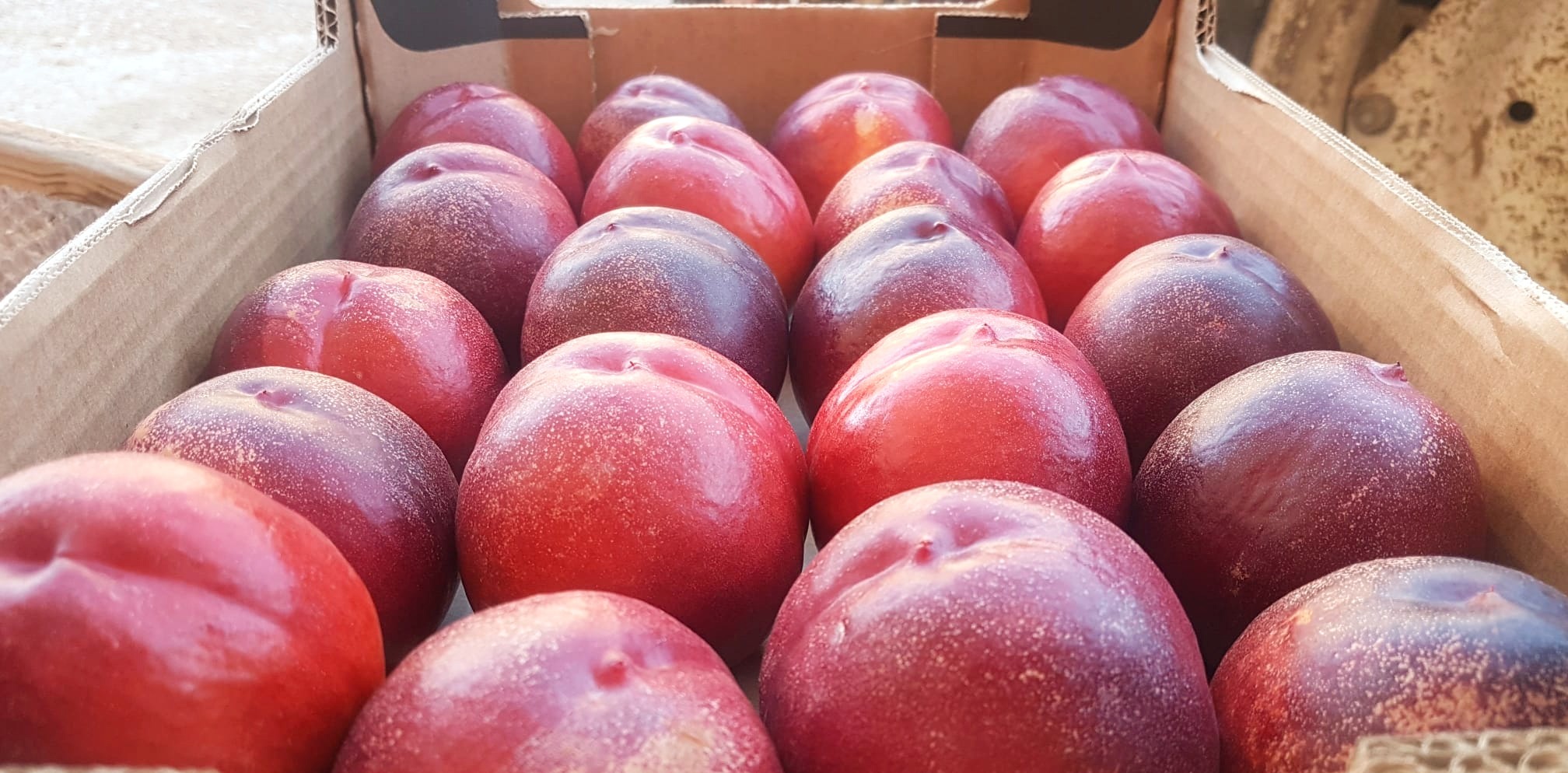 Nectarina 4kg