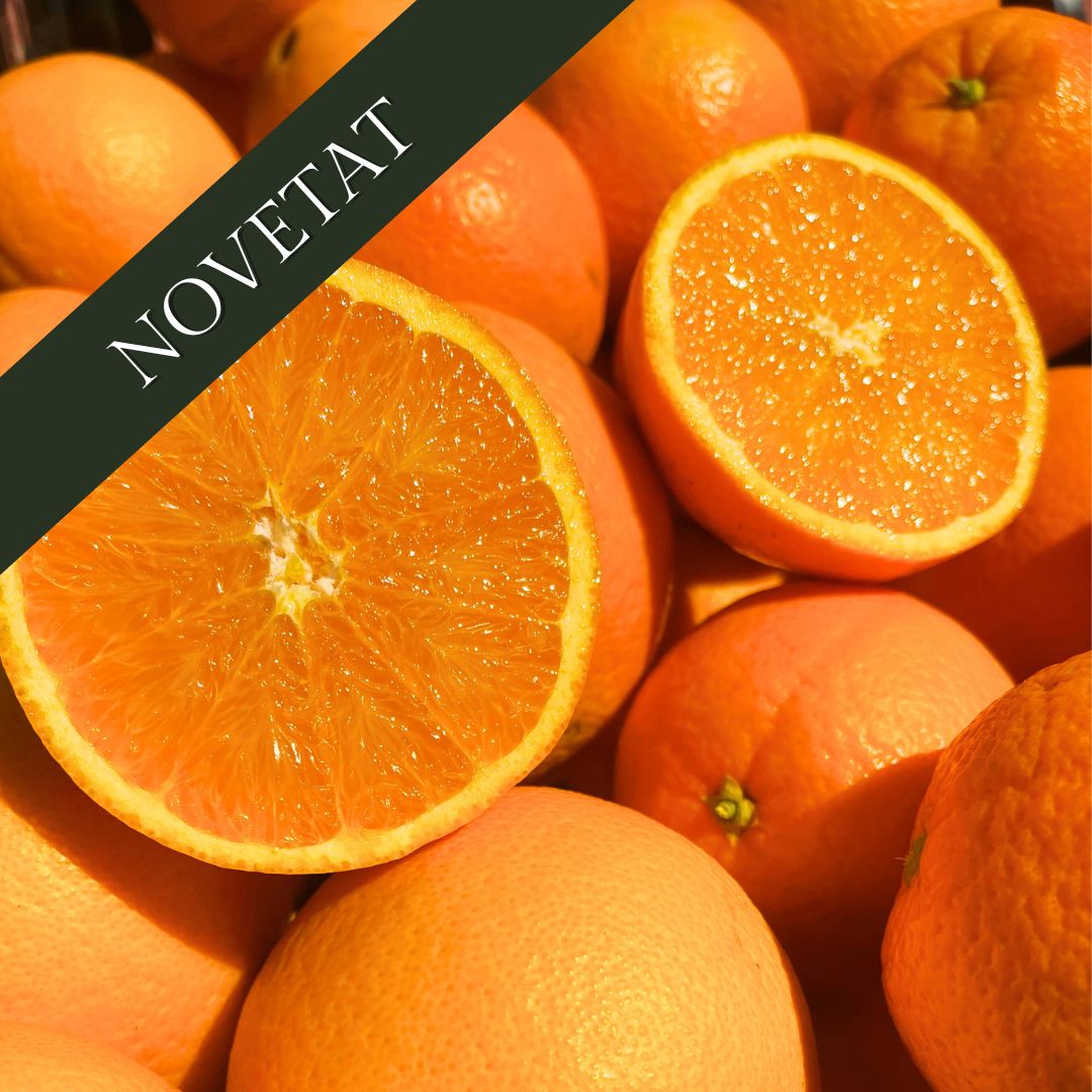 Taronges Navelina 10Kg