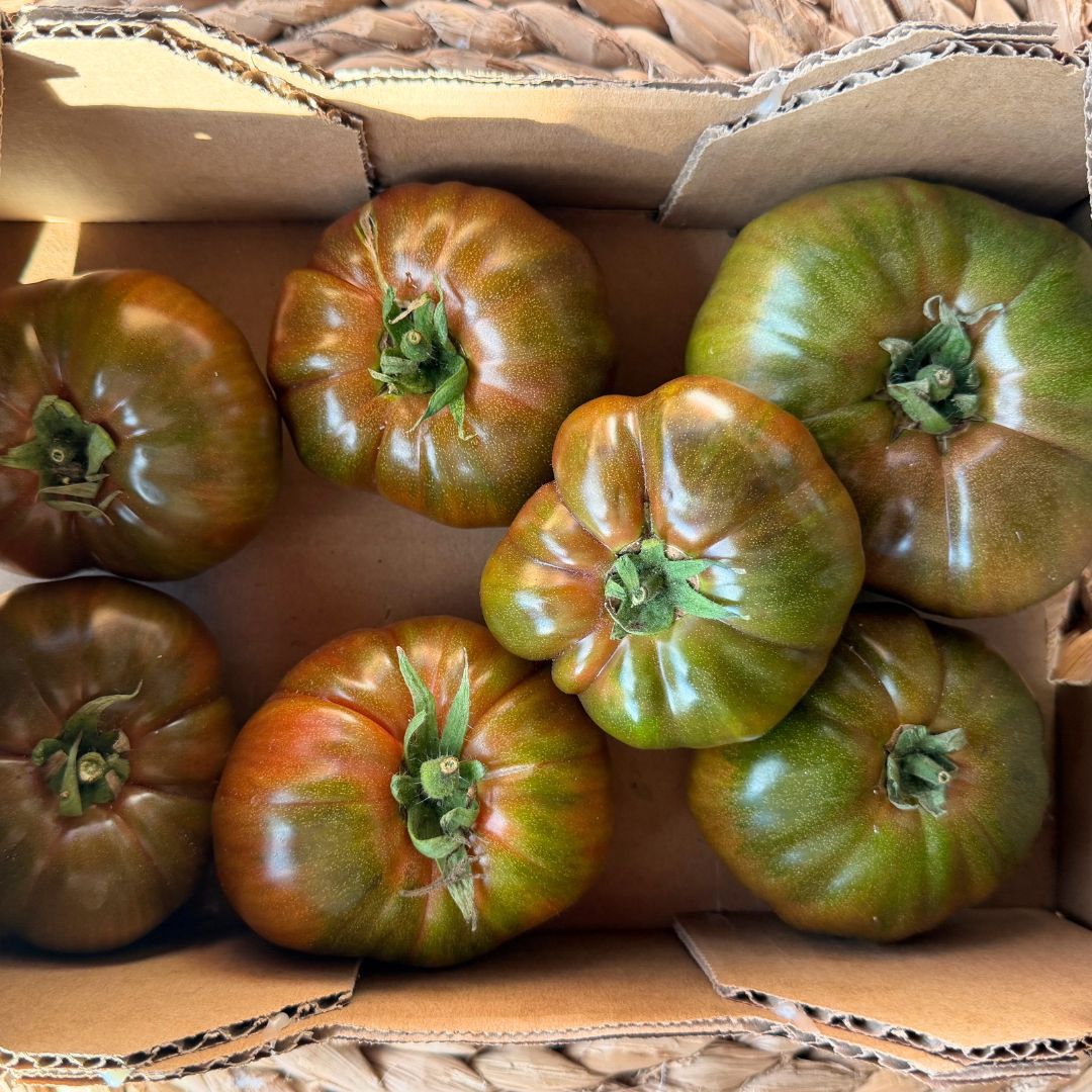Tomàquet Premium Muntanyès 1.5Kg