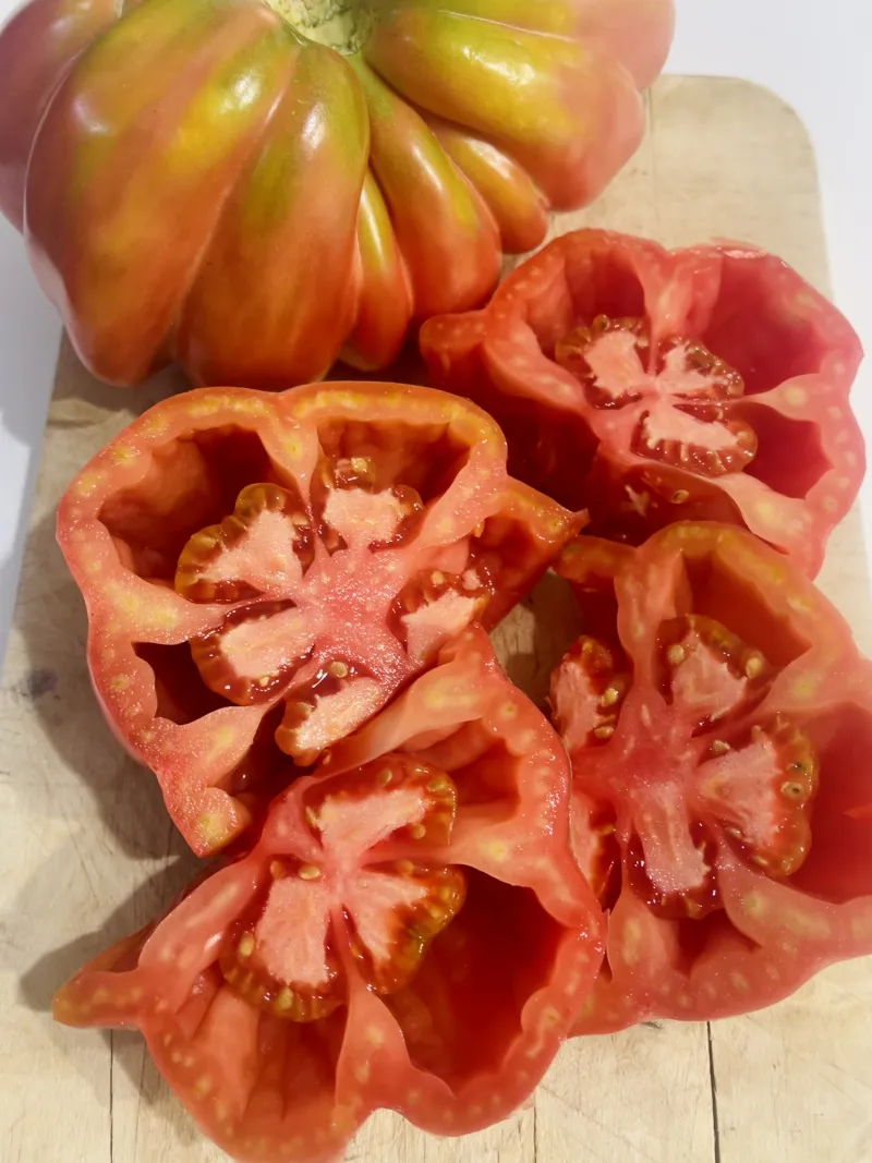 Tomàquet Rosa 1.5Kg
