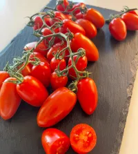 Tomàquet Xerri 1.5Kg